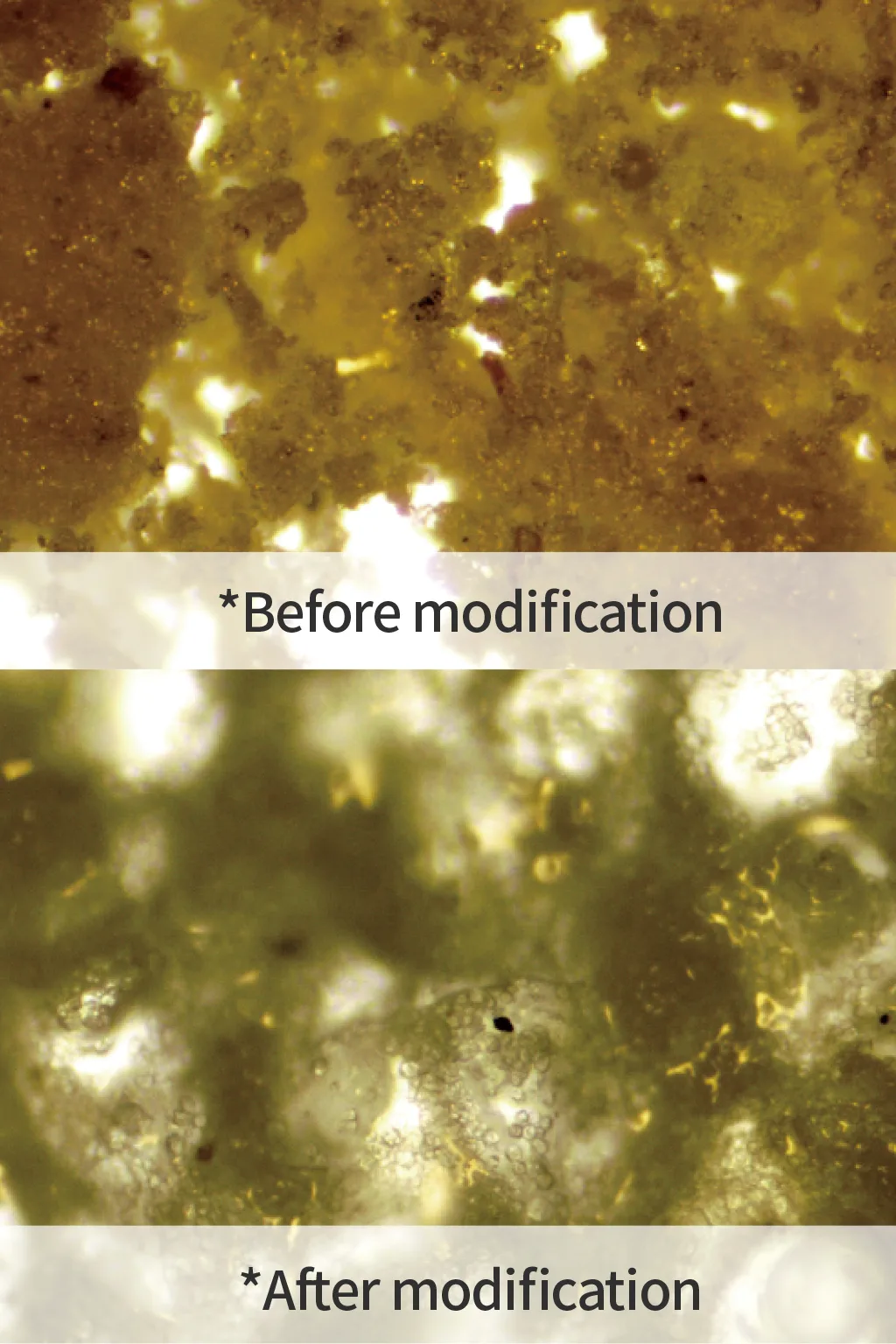 Editorial macro of natural plant fibre texture, cream and warm beige strands