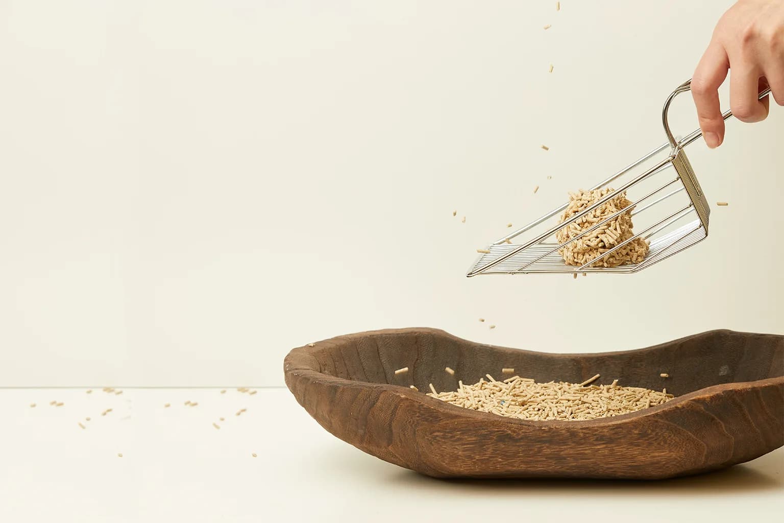 Pale beige cereal cat litter granules in a hand-thrown ceramic dish, soft natural light