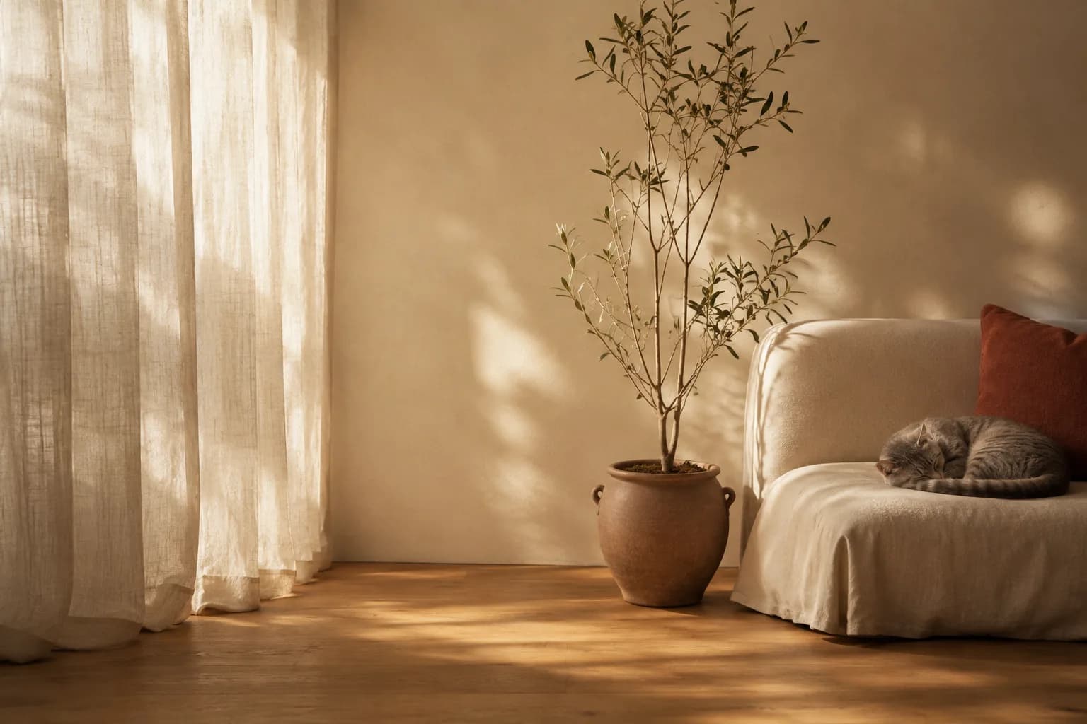 Sunlit corner of a modern Australian home, timber floor and indoor plant, soft natural light